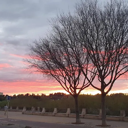 公寓 Loft Ribera De 科爾多瓦